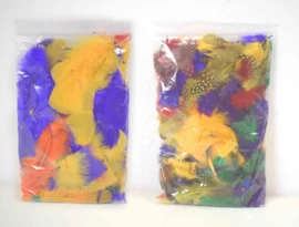 Collage Veertjes - Afbeelding 5