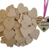 100 Houten Hartjes