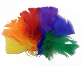 Collage Veertjes - Afbeelding 2