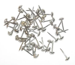 Spijkertjes Met Dikke Kop